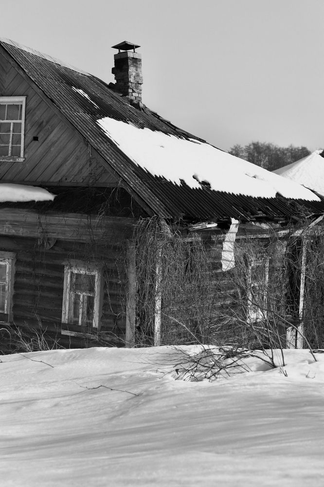 Photograph by Вера Сдвижкова