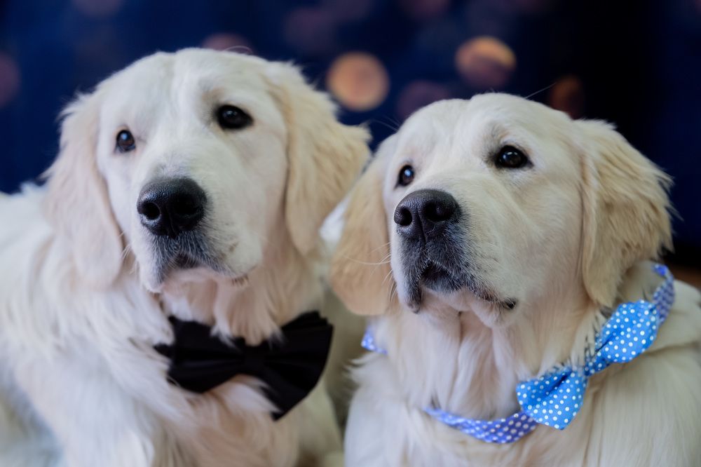 Photograph by gordon brown