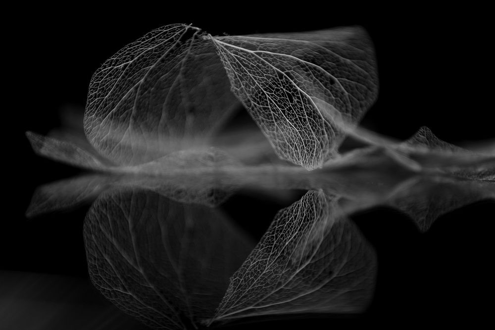 Photograph by Ирина Филиппова