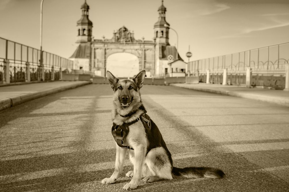 Photograph by gordon brown