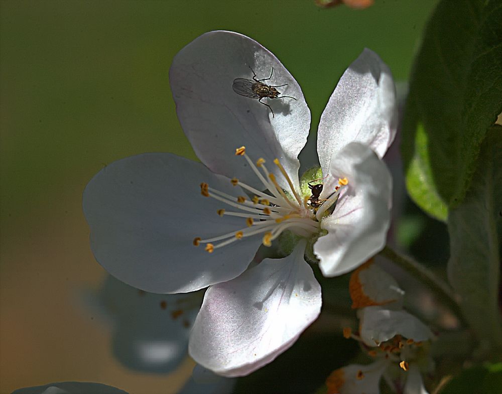 Photograph by Александр Макаренко