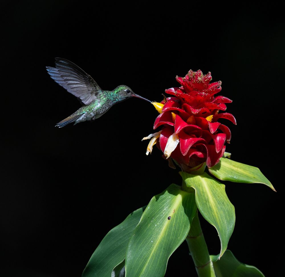 Photograph by Alberto Camardiel