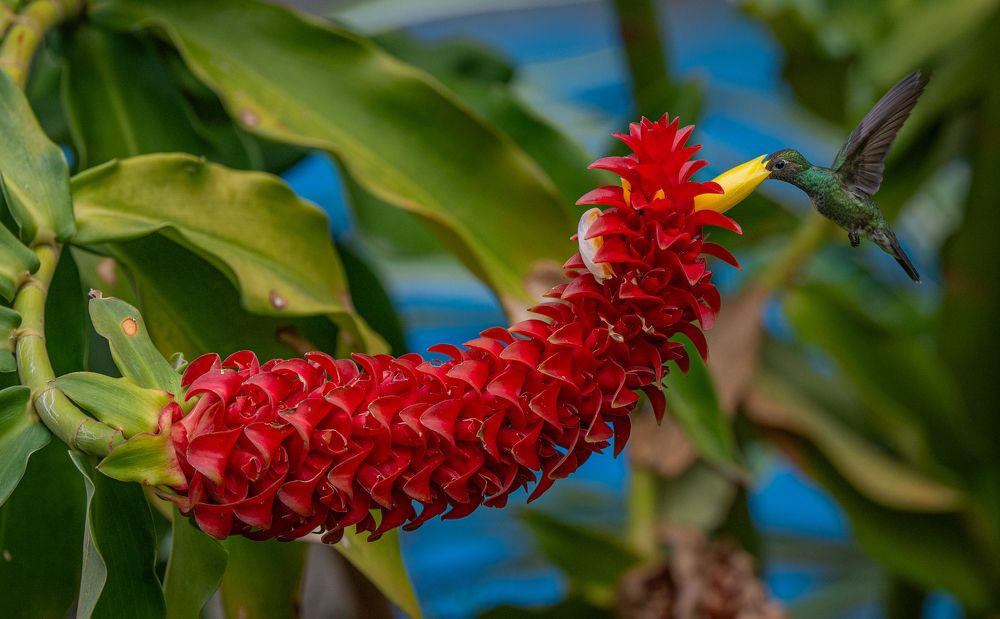 Photograph by Alberto Camardiel