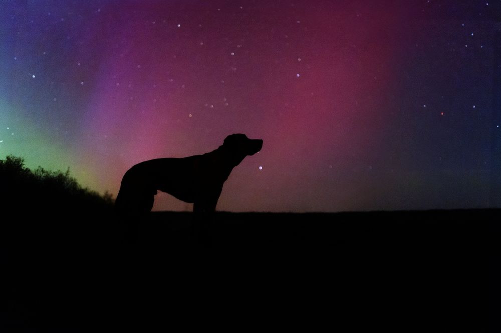 Фотография автора Coralie Mänche