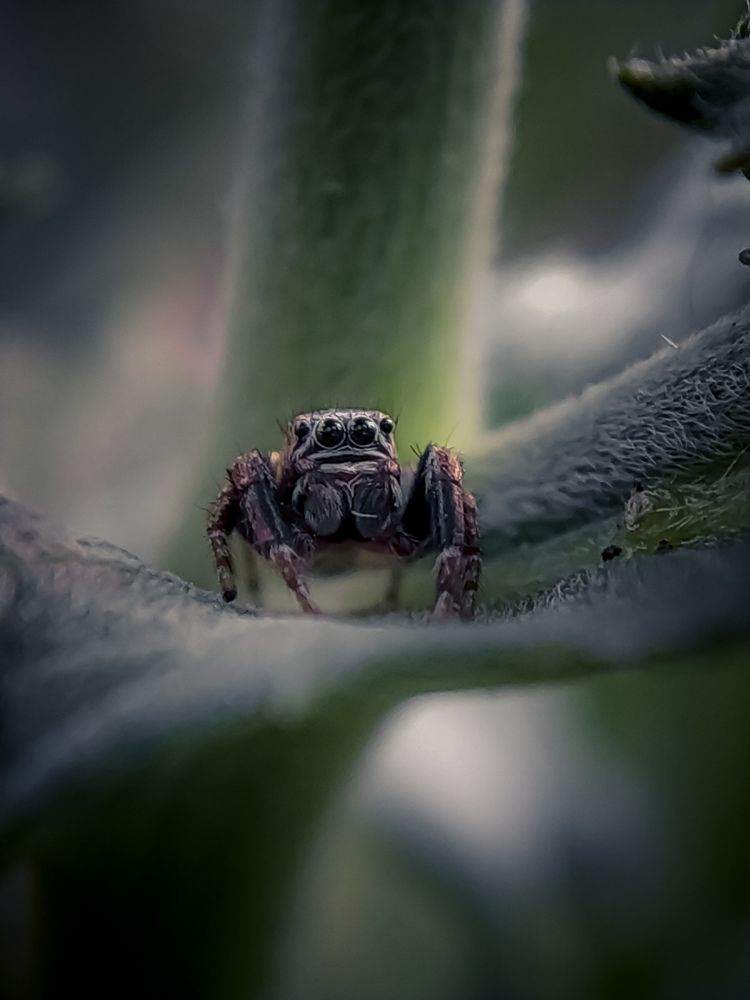 Фотография автора Наталья Алексеева