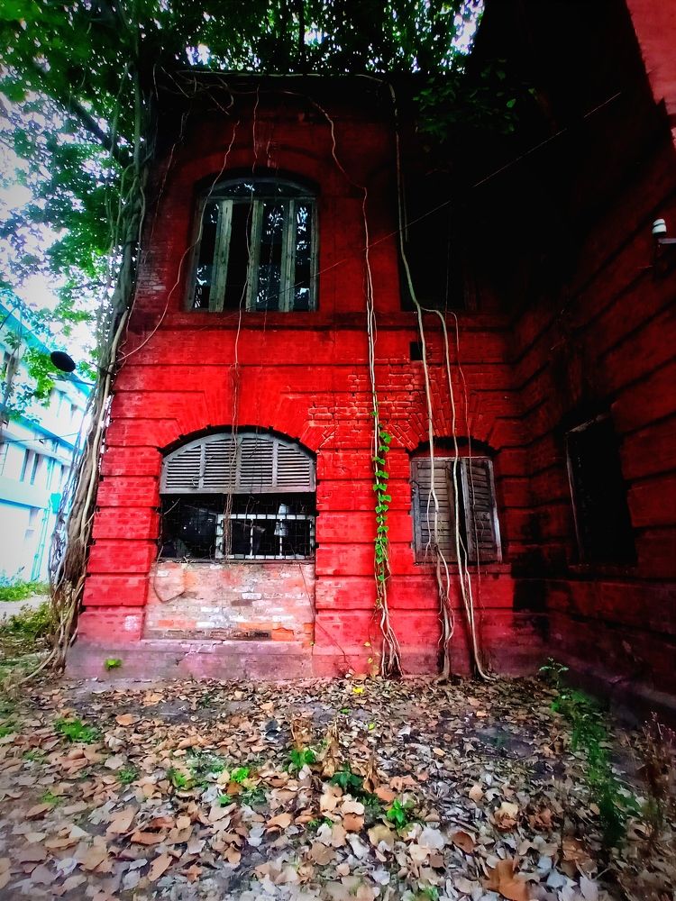 Фотография автора Debdutt Saha