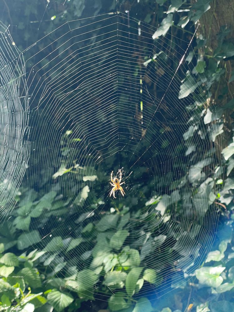 Фотография автора Nadezhda