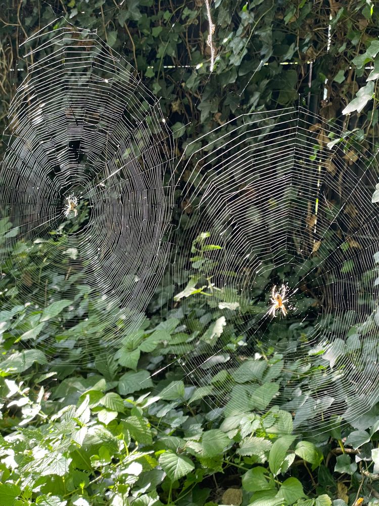 Фотография автора Nadezhda