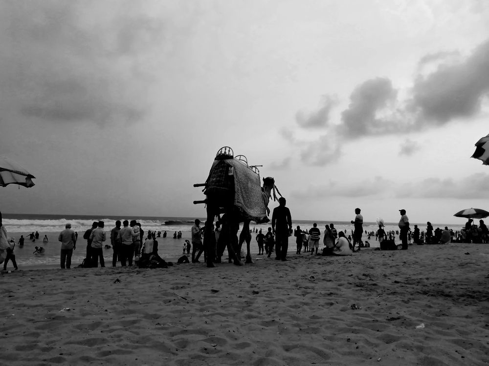 Photo #10615479