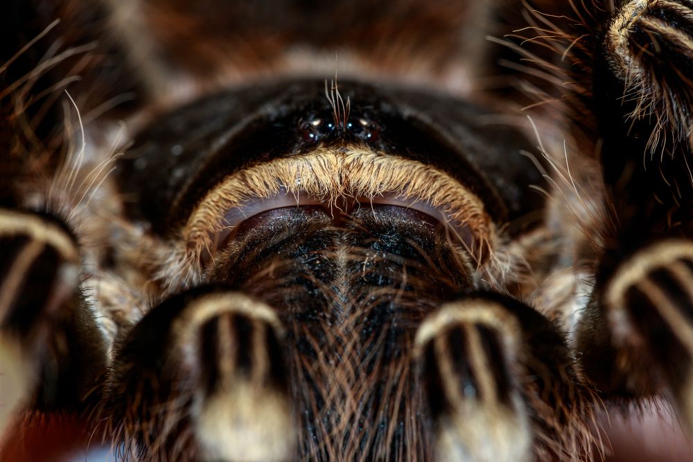 Photograph by Дмитрий Горбушин