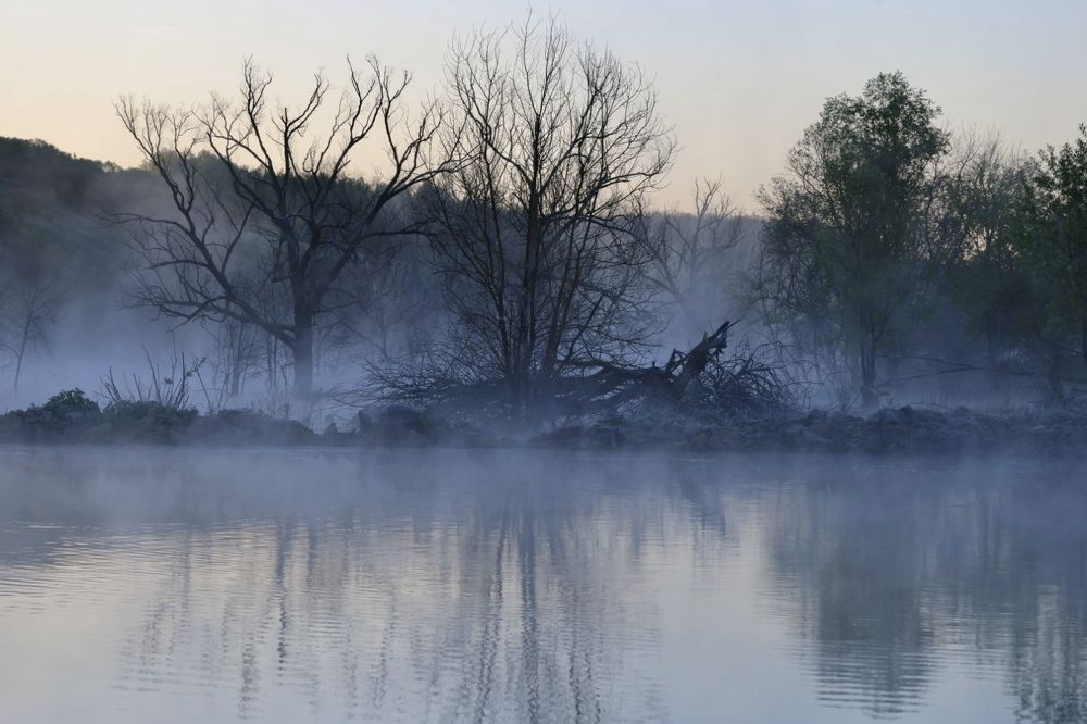 Photograph by Ольга Одаренко