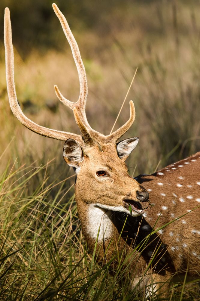 Photograph by Aryan Sharan