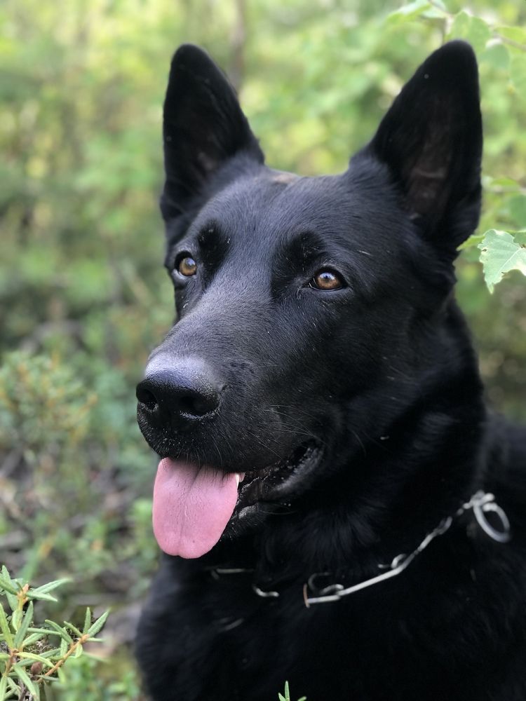 Photograph by Елена