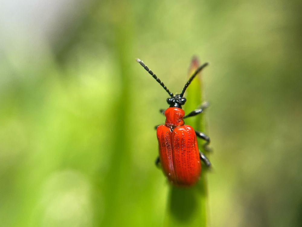 Photograph by Марина