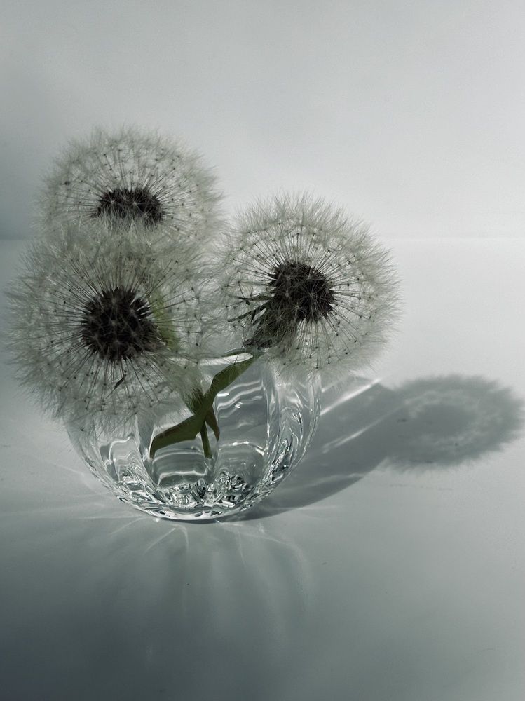 Photograph by Halina Mitsevich