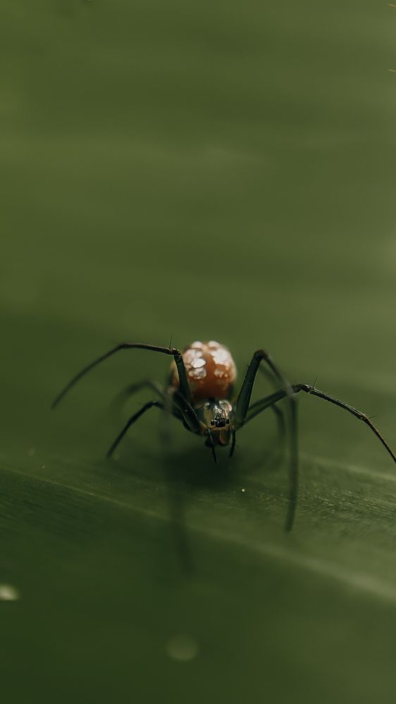 Photograph by Mathavarajah Nithurshan