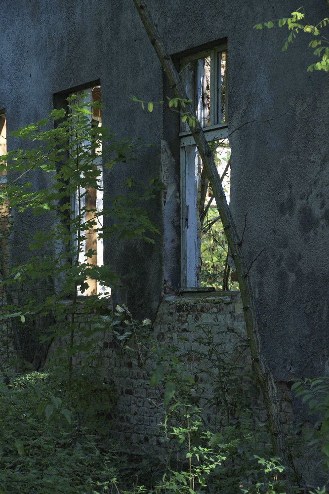 Photograph by Михаил Жарский