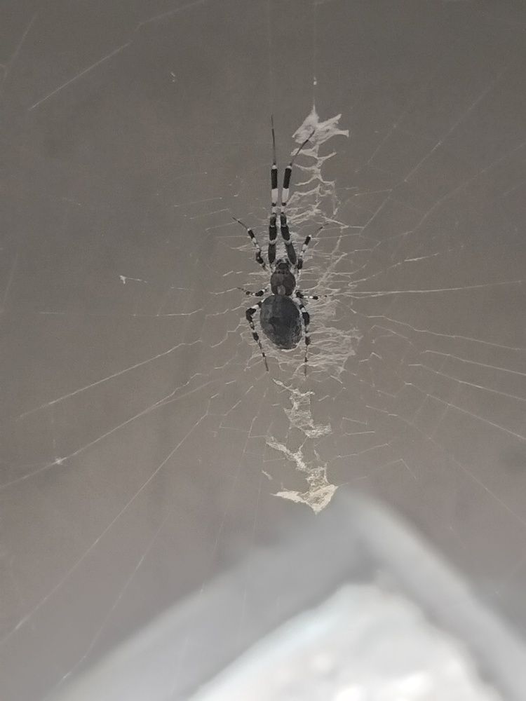 Photograph by Adal Padal Adal