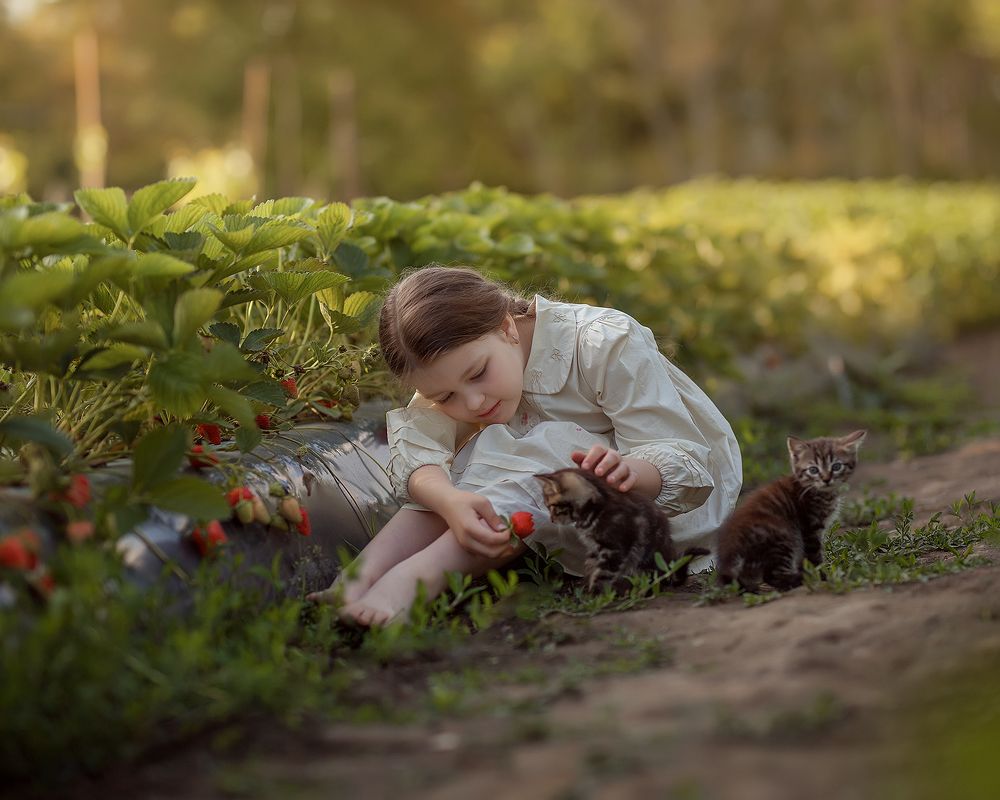 Фотография автора Полина Верещагина