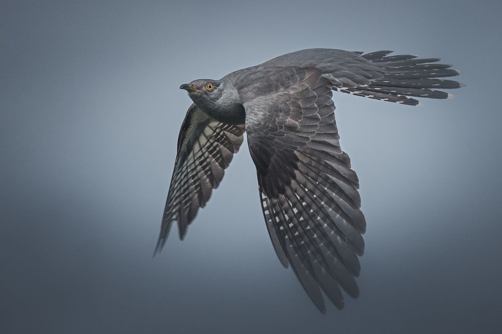 Photograph by Вячеслав Ладанов