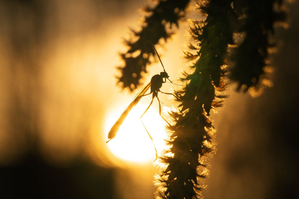 Photograph by Ольга Таланцева