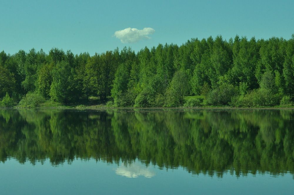 Photograph by Николай Леухин