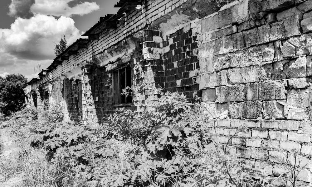 Photograph by Анна Масленникова-Бриль