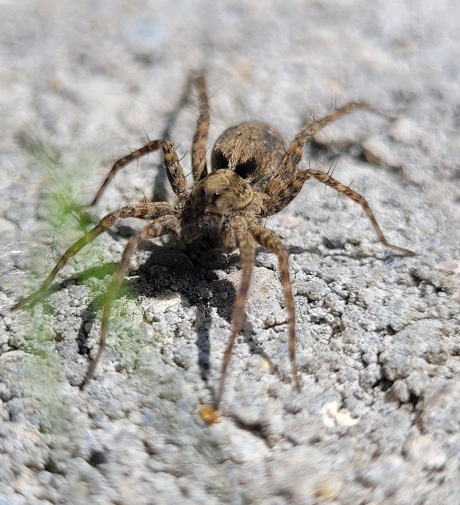 Photograph by Алексей Горин