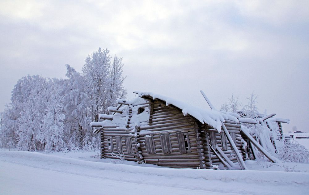 Photograph by Елена Маракулина