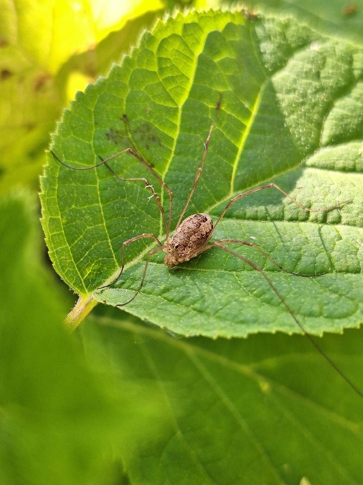 Photograph by Наталья Шехова