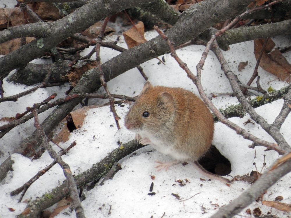 Photograph by Оксана Малахова