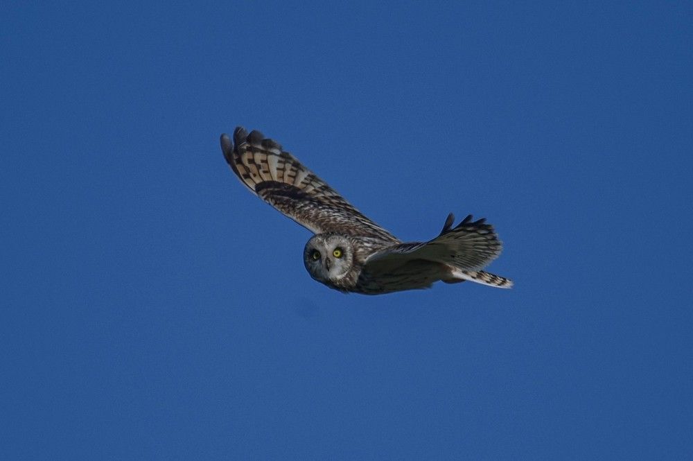 Photograph by Алексей Логинов