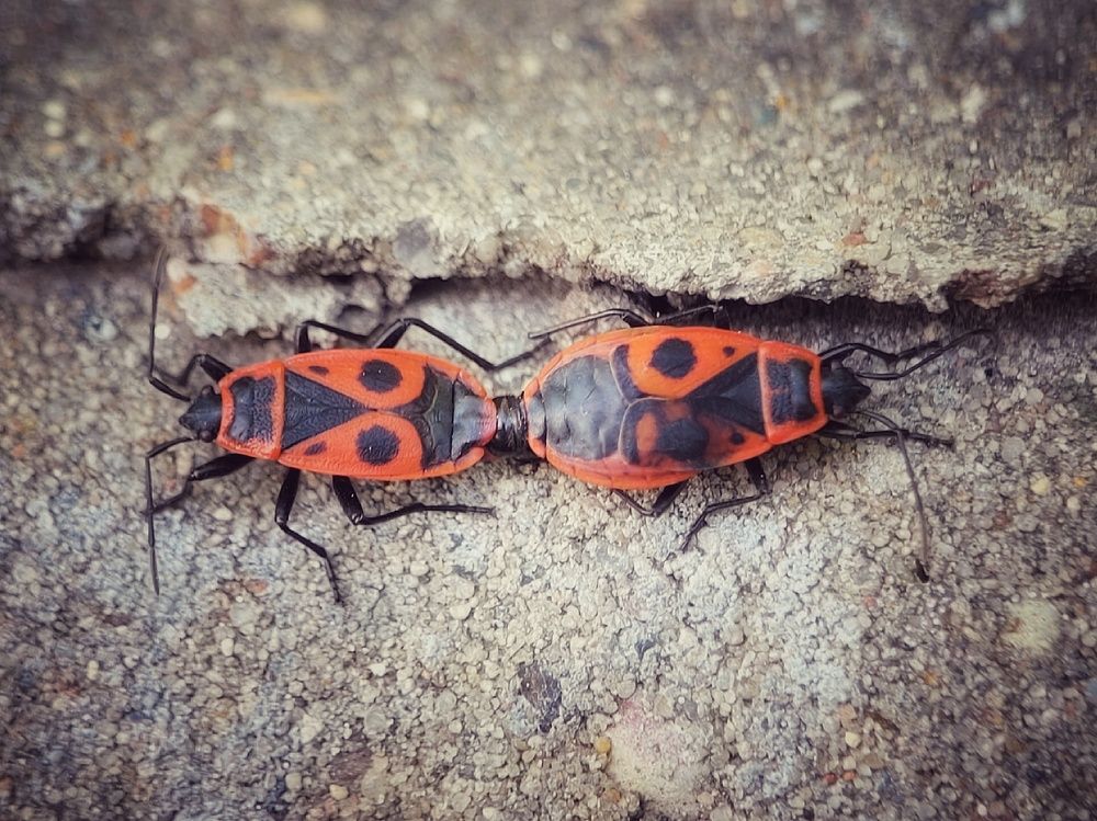 Photograph by Алексей Горин