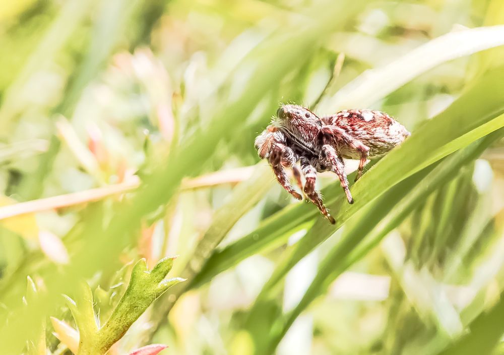 Photograph by Николай Яковлев