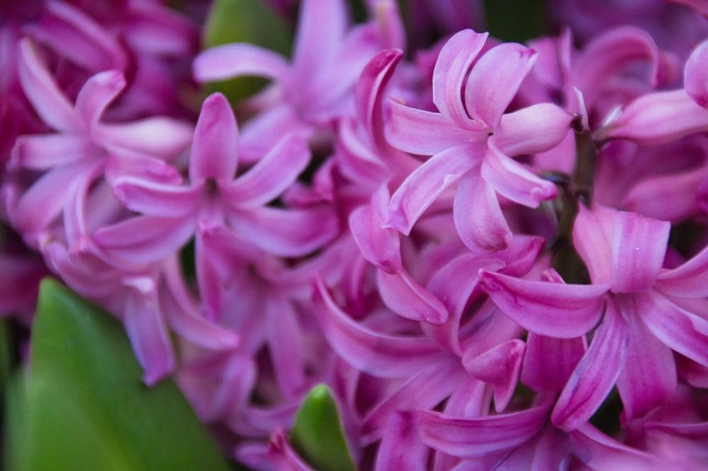 Фотография автора Georgii Eletskikh