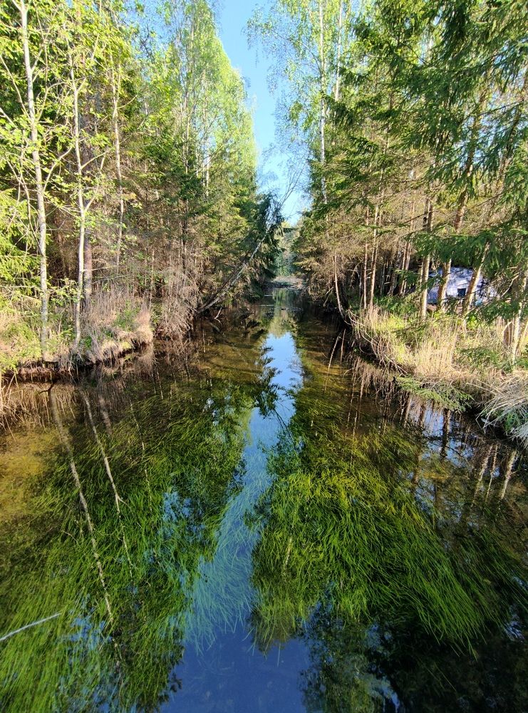 Norra allikajärv Estonia