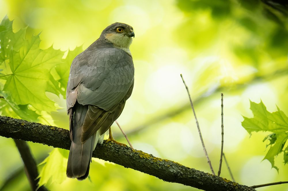 Photograph by Вячеслав Ладанов
