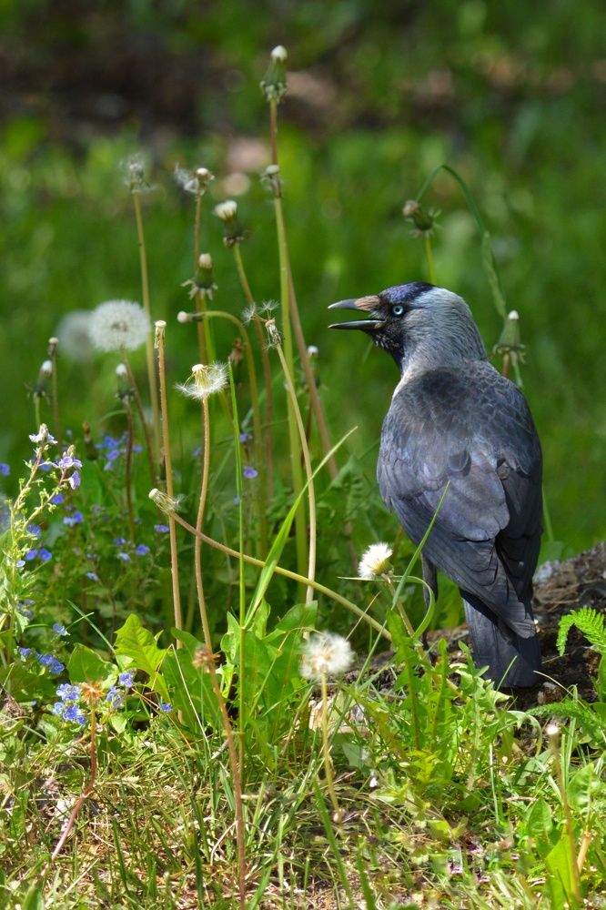 Photograph by Анна Зорька