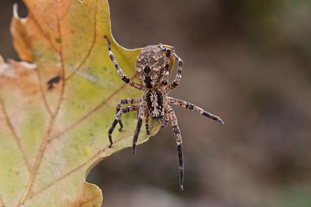 Photograph by Светлана Ивановна