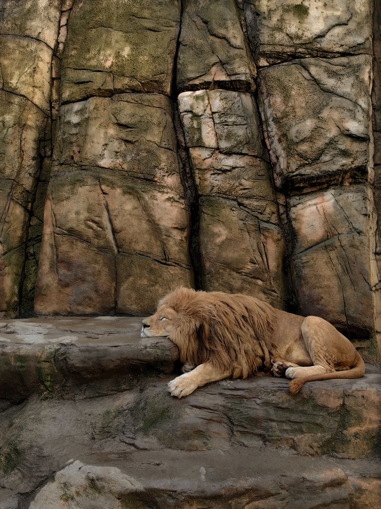 Photograph by Наталья Жуковская