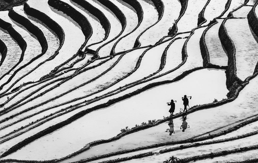 Photograph by NGUYEN HAI