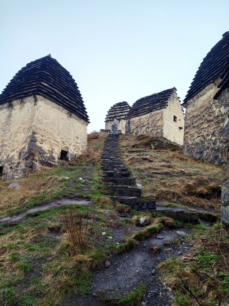 Photograph by Наталья Покрепина