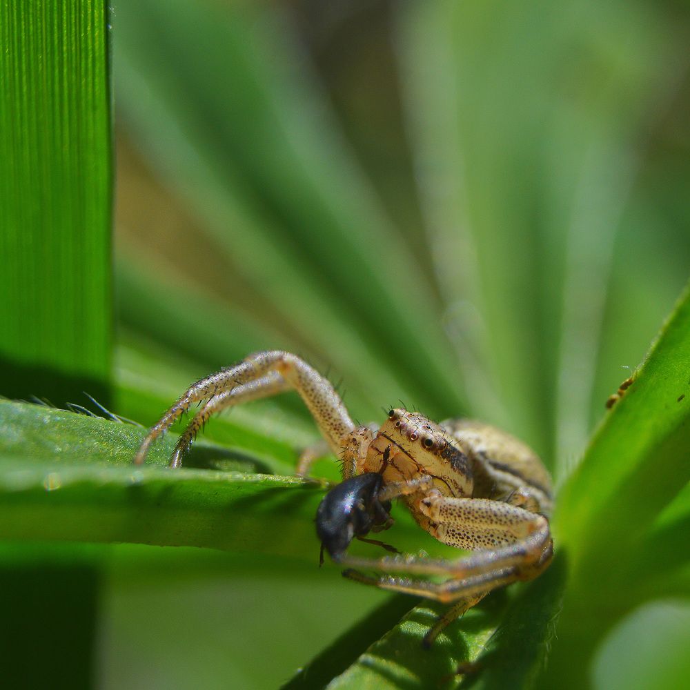 Фотография автора Сергей Суворов