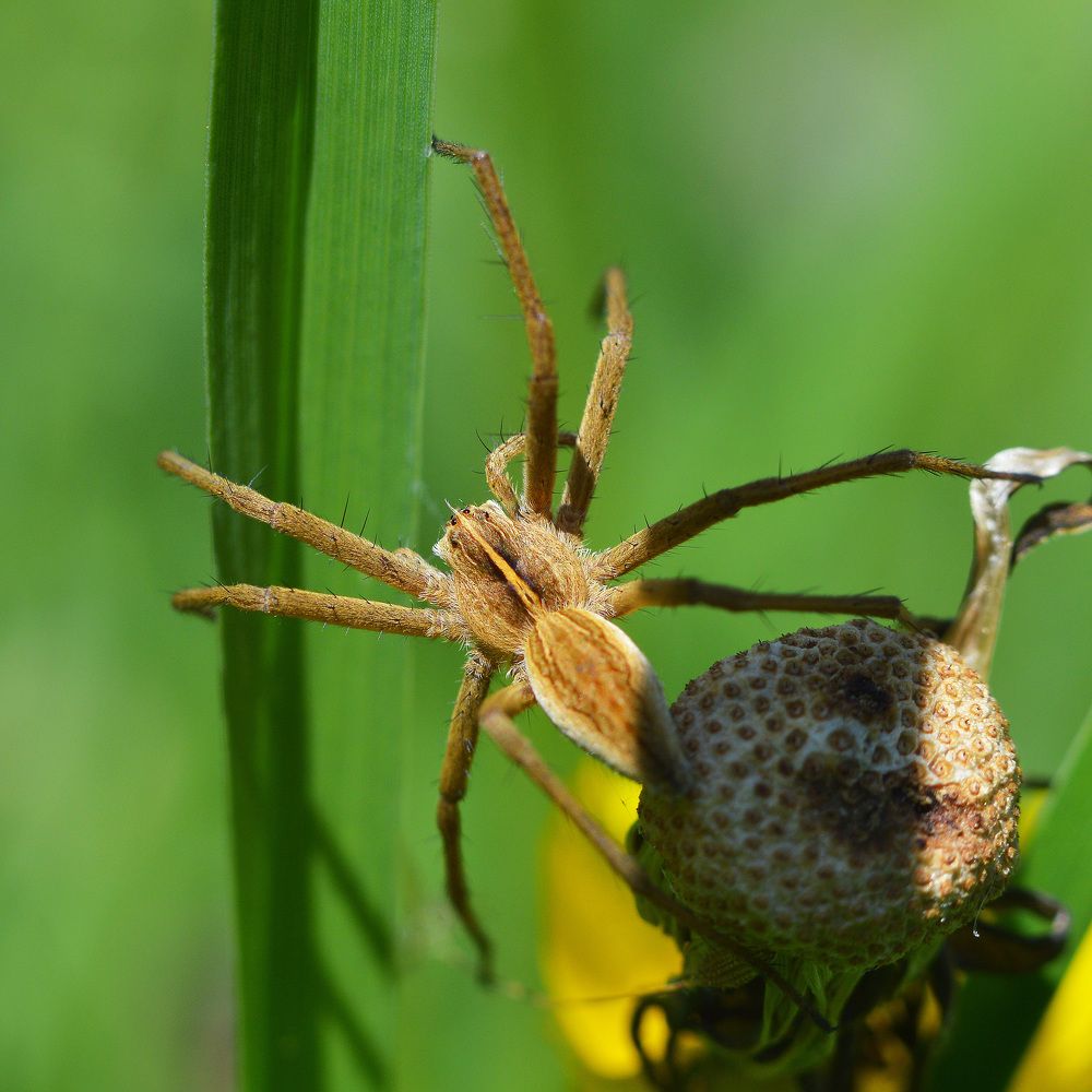 Фотография автора Сергей Суворов