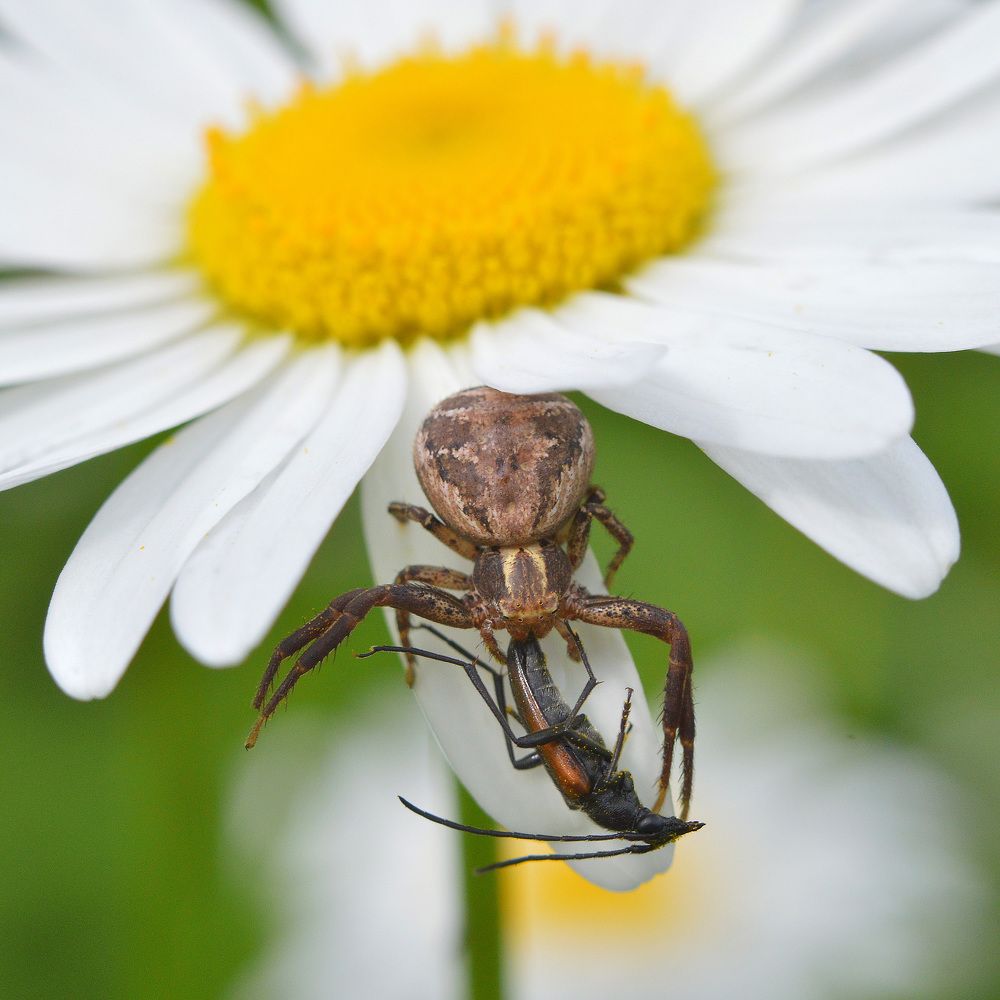 Фотография автора Сергей Суворов