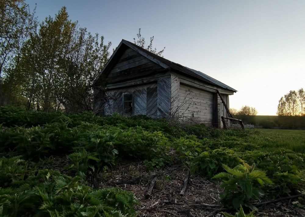 Photograph by Назлыгуль Малашова