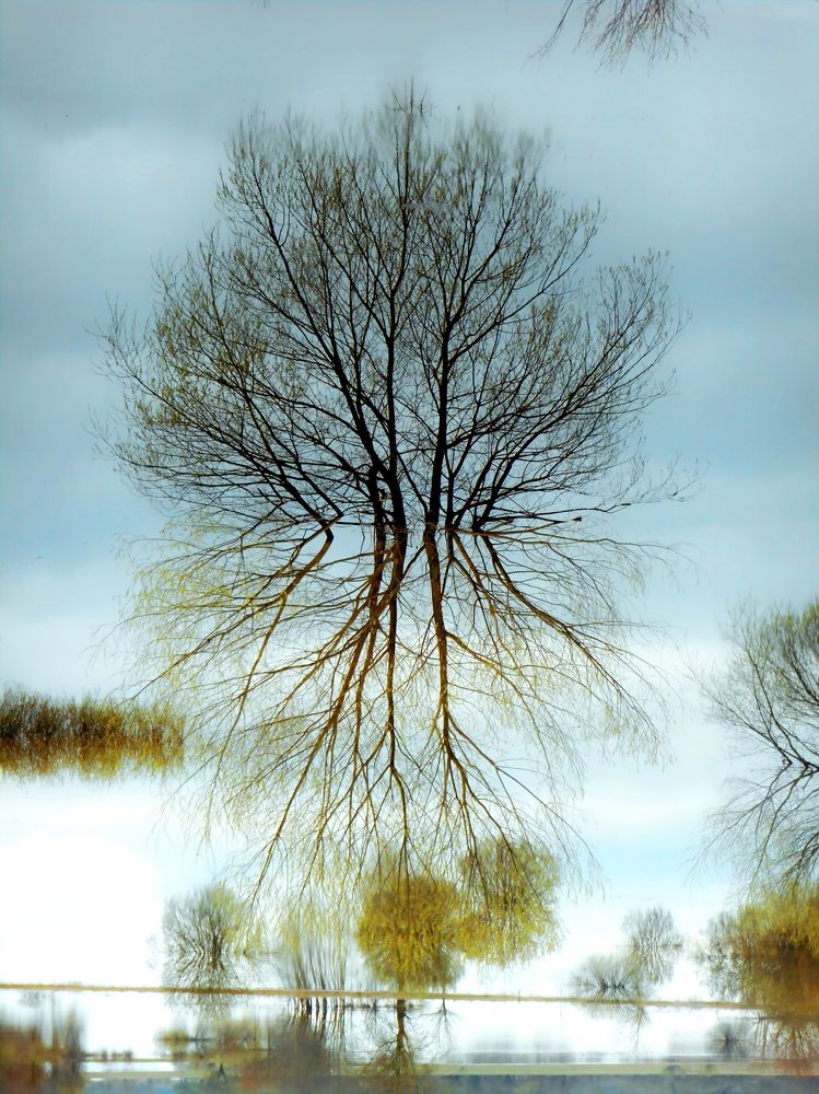 Photograph by Александр Поздняков