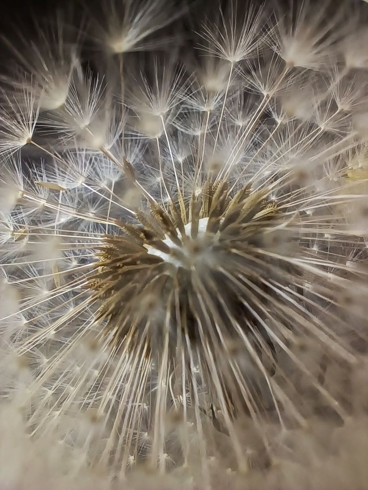 Photograph by Дамир Батряков