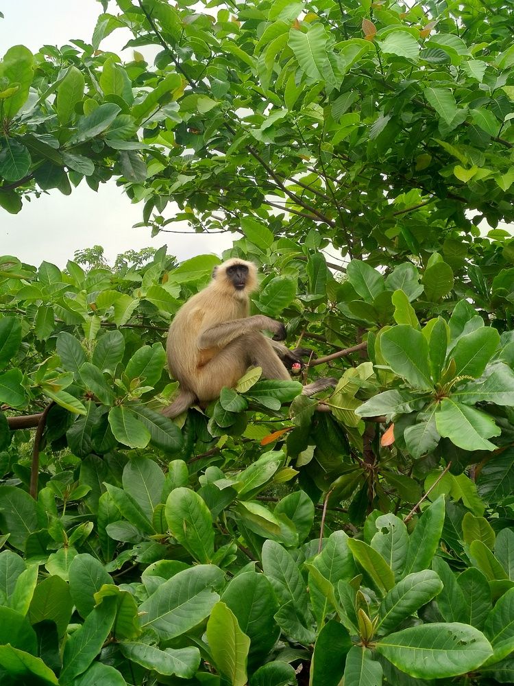 Photograph by sumit sitole