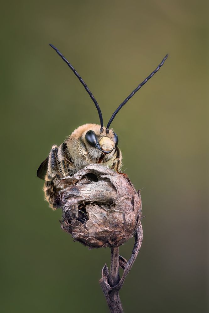 Фотография автора Андрей Жила